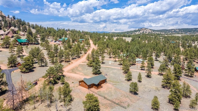 874 Hackamore Dr, Florissant, CO 80816 - drone / aerial view
