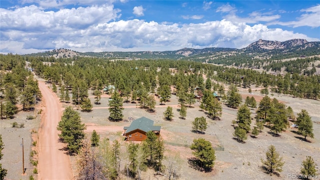 874 Hackamore Dr, Florissant, CO 80816 - view of mountain background