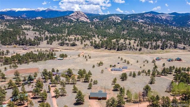 874 Hackamore Dr, Florissant, CO 80816 - mountain view with rural landscape
