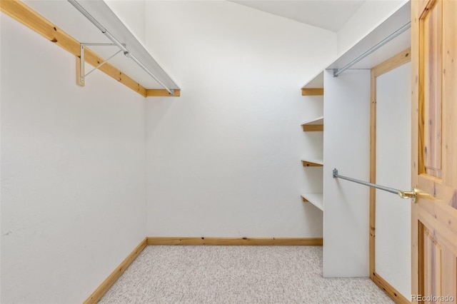 11 Hackamore Rd Unit B, Edwards, CO 81632 - walk in closet featuring light colored carpet