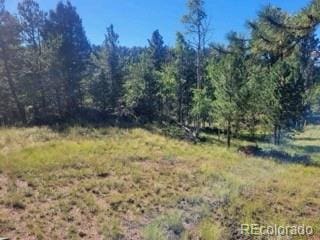 3168 N Mountain Estates Rd, Florissant CO, 80816 land for sale