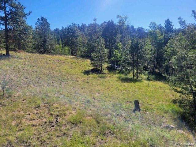 Listing photo 2 for 3168 N Mountain Estates Rd, Florissant CO 80816