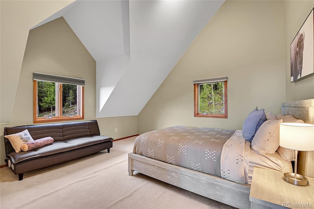 30382 Marys Dr, Conifer, CO 80433 - photo 23