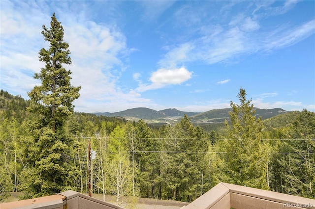30382 Marys Dr, Conifer, CO 80433 - photo 35