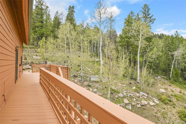 30382 Marys Dr, Conifer, CO 80433 - photo 41