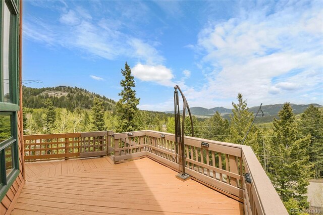 30382 Marys Dr, Conifer, CO 80433 - photo 5