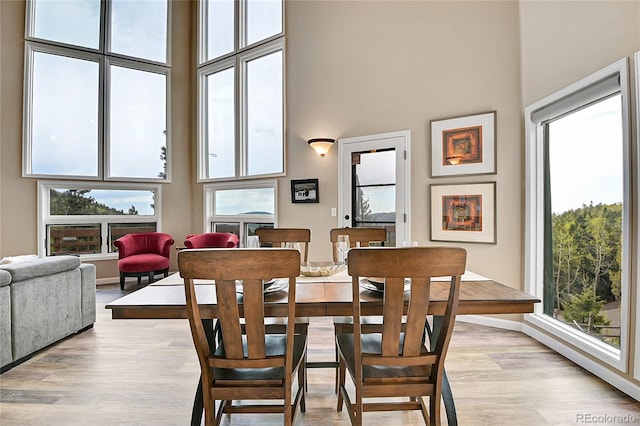30382 Marys Dr, Conifer, CO 80433 - photo 8