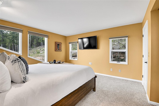 30382 Marys Dr, Conifer, CO 80433 - photo 15