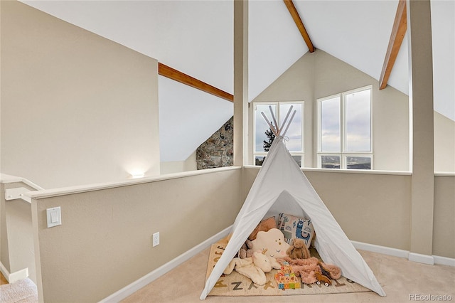 30382 Marys Dr, Conifer, CO 80433 - photo 20