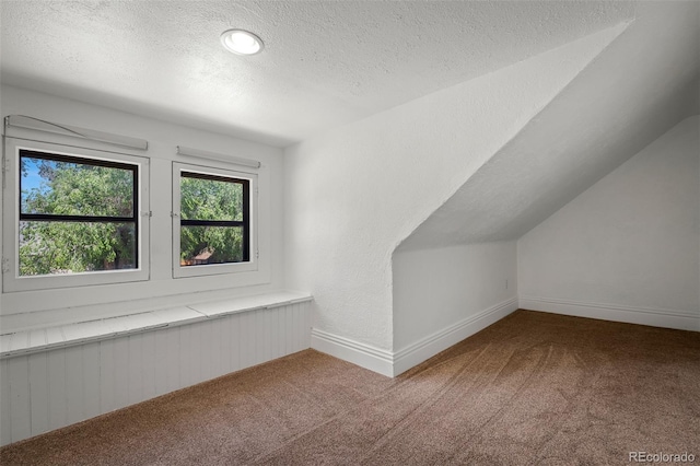 502 E San Miguel St, Colorado Springs, CO 80903 - bonus room with a textured ceiling, carpet, and lofted ceiling