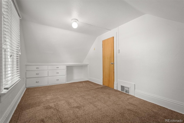 502 E San Miguel St, Colorado Springs, CO 80903 - additional living space with vaulted ceiling and carpet