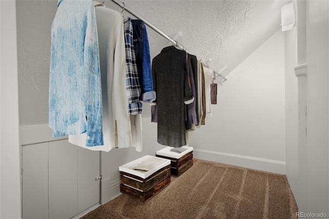 502 E San Miguel St, Colorado Springs, CO 80903 - spacious closet with carpet floors and vaulted ceiling