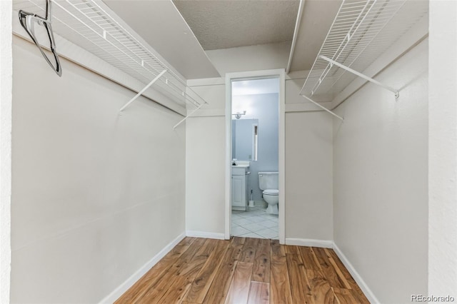 spacious closet with wood-type flooring