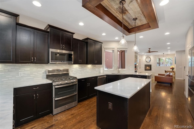kitchen with open floor plan, ceiling fan, dark wood-type flooring, a sink, and stainless steel appliances
