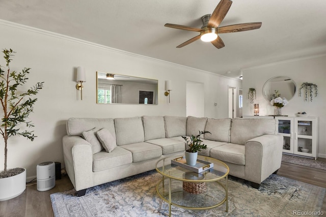 7480 Wolff St, Westminster, CO 80030 - photo 5