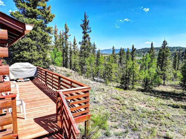 225 Deadwood, Jefferson, CO 80456 - photo 10
