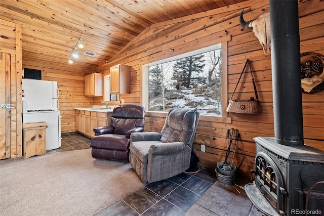 225 Deadwood, Jefferson, CO 80456 - photo 12