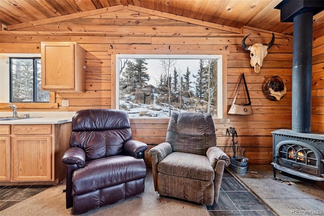 225 Deadwood, Jefferson, CO 80456 - photo 13