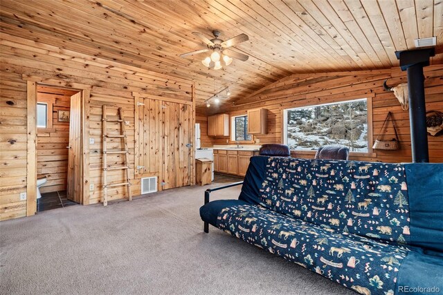 225 Deadwood, Jefferson, CO 80456 - photo 16