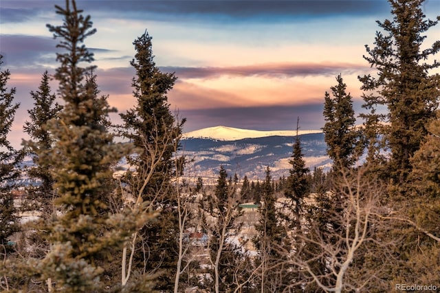 225 Deadwood, Jefferson, CO 80456 - photo 29