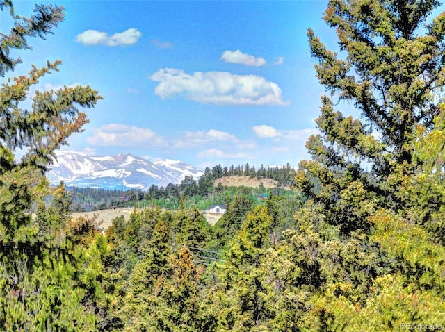 225 Deadwood, Jefferson, CO 80456 - photo 31