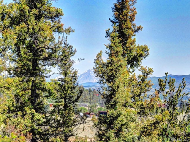 225 Deadwood, Jefferson, CO 80456 - photo 32
