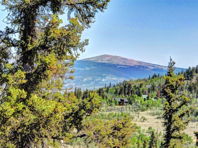 225 Deadwood, Jefferson, CO 80456 - photo 33