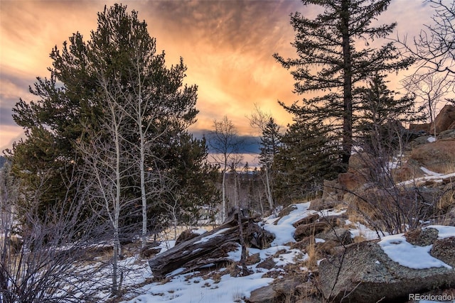 225 Deadwood, Jefferson, CO 80456 - photo 37