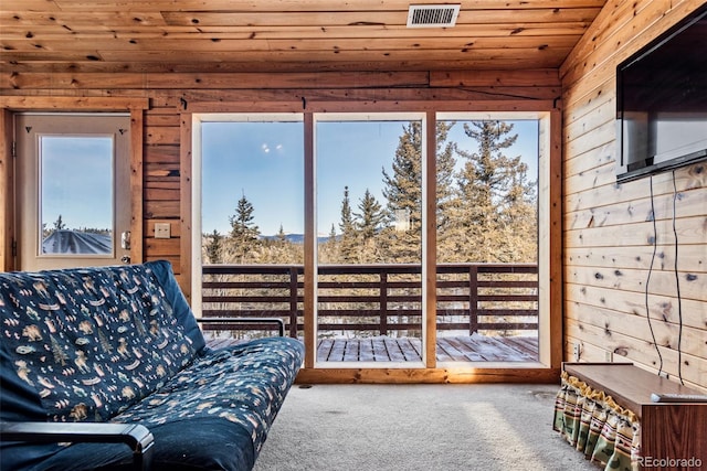 225 Deadwood, Jefferson, CO 80456 - photo 38