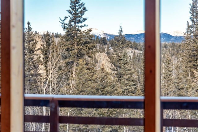 225 Deadwood, Jefferson, CO 80456 - photo 39
