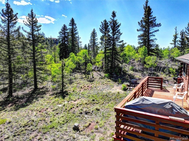 225 Deadwood, Jefferson, CO 80456 - photo 40