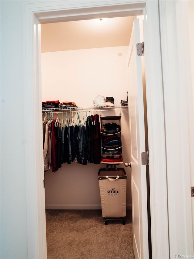 walk in closet featuring carpet