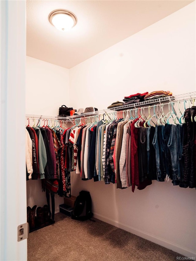 spacious closet featuring carpet