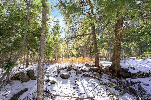 0 Rock Ridge Rd, Palmer Lake CO, 80133 land for sale