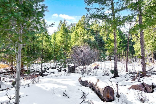 Listing photo 3 for 0 Rock Ridge Rd, Palmer Lake CO 80133