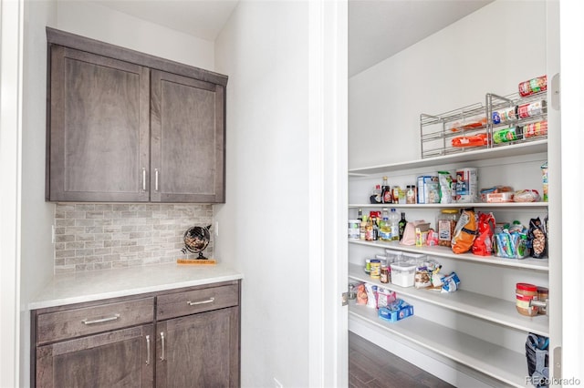 15843 E Broncos Pl, Englewood, CO 80112 - view of storage area