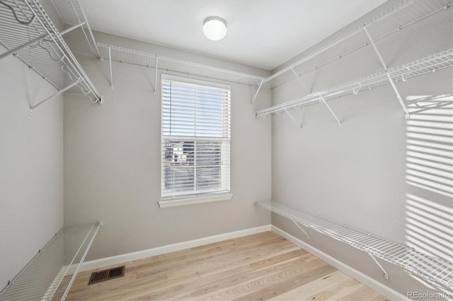 spacious closet featuring wood-type flooring