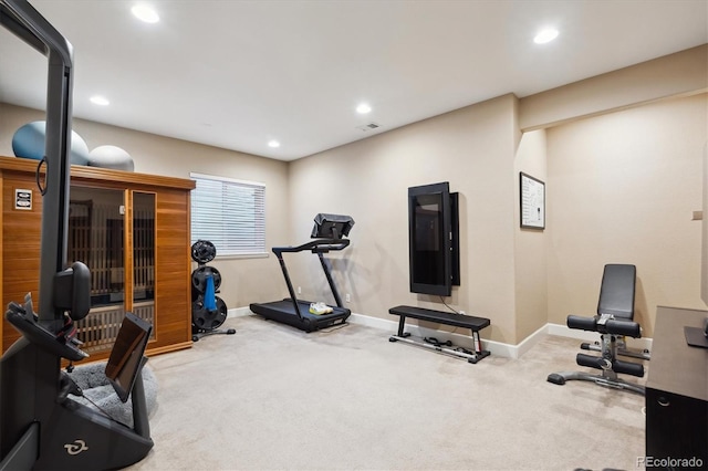 workout area featuring carpet floors