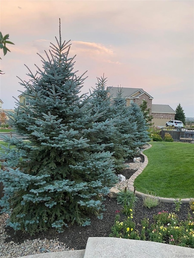 view of yard at dusk