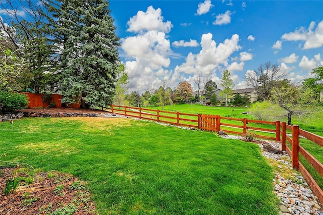 view of yard