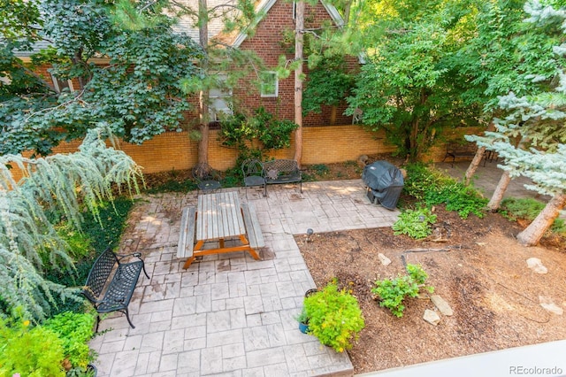 view of yard featuring a patio