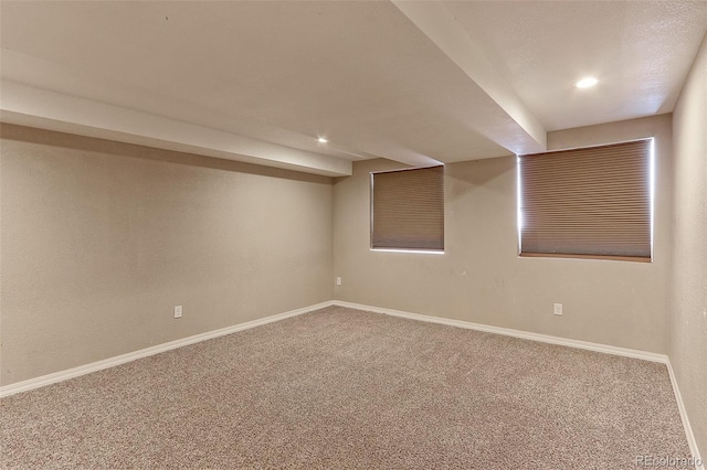 basement featuring carpet floors