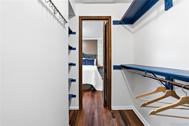 walk in closet featuring wood finished floors