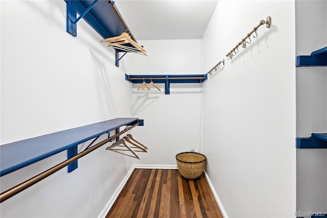 walk in closet with wood finished floors