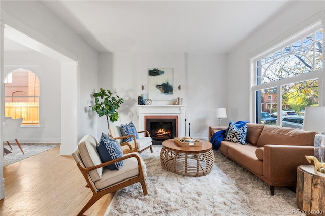 living room featuring light hardwood / wood-style flooring