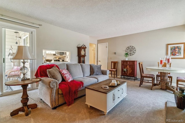 living area with a textured ceiling and carpet