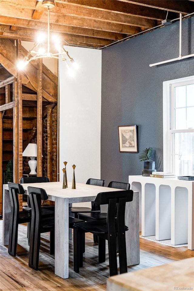 dining space featuring hardwood / wood-style floors