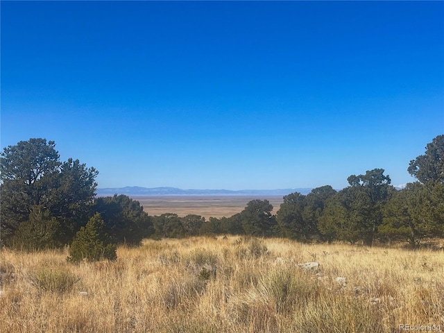 121 Cedar Ridge Rd, Mosca CO, 81146 land for sale