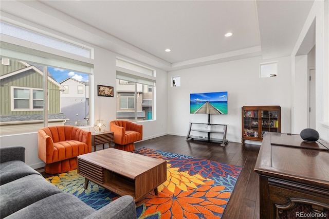 living room featuring dark hardwood / wood-style floors and a raised ceiling