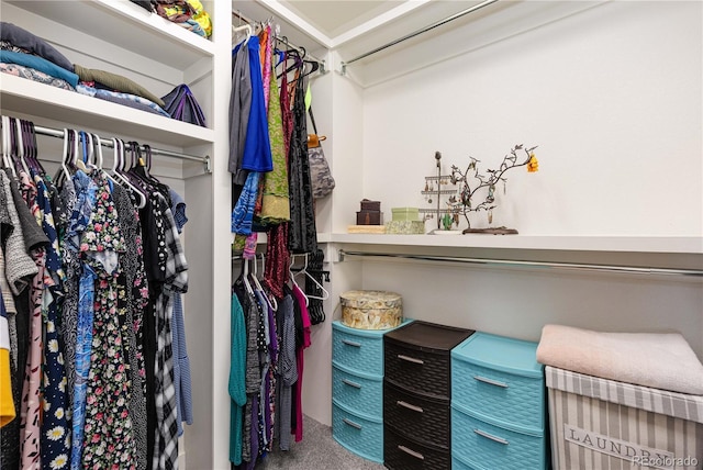 walk in closet featuring carpet